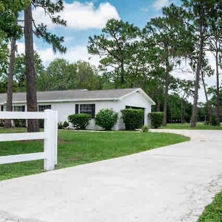 3Bdr2Bath Home In Lutz Close To Tampa, 20 Min To Stadium, Airport エクステリア 写真