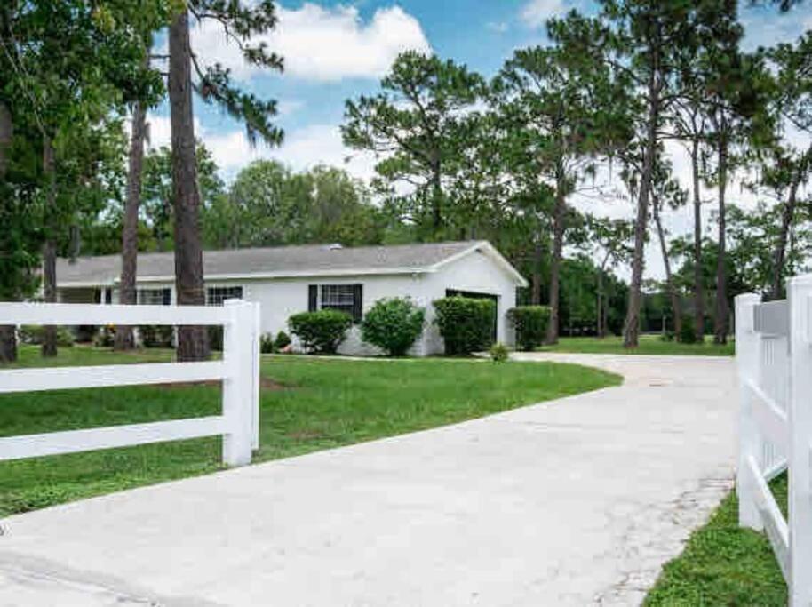 3Bdr2Bath Home In Lutz Close To Tampa, 20 Min To Stadium, Airport エクステリア 写真